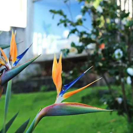 Casa Da Talha- Rustikaler Charme Auf Den Azoren By Interhome * Nordestinho