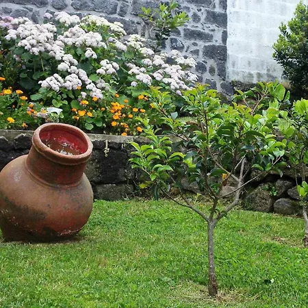 Casa Da Talha- Rustikaler Charme Auf Den Azoren By Interhome
