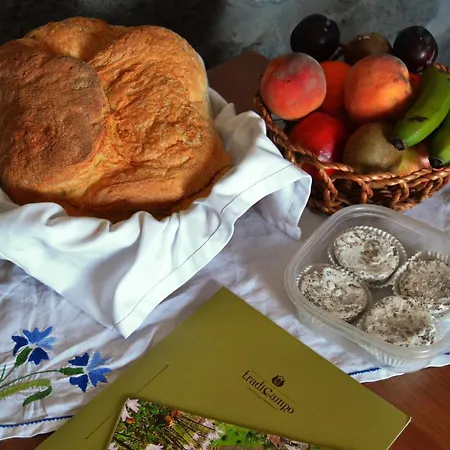 Semesterbostad Casa Da Talha- Rustikaler Charme Auf Den Azoren By Interhome