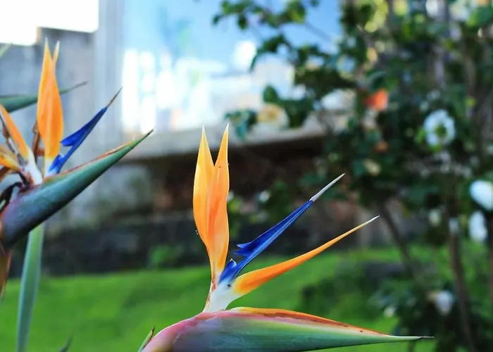 Casa Da Talha- Rustikaler Charme Auf Den Azoren By Interhome * Nordestinho